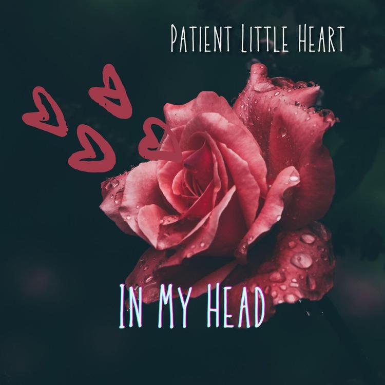 Patient Little Heart's avatar image