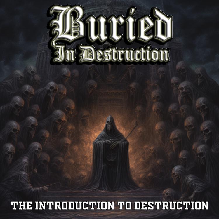 Buried in Destruction's avatar image