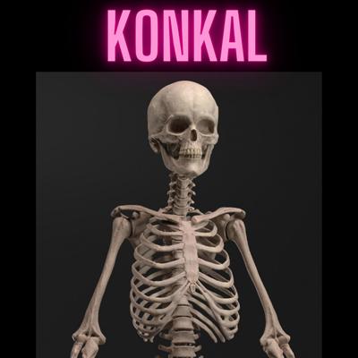 Konkal (Swopnobaji)'s cover