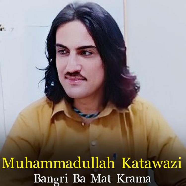 Muhammadullah Katawazi's avatar image