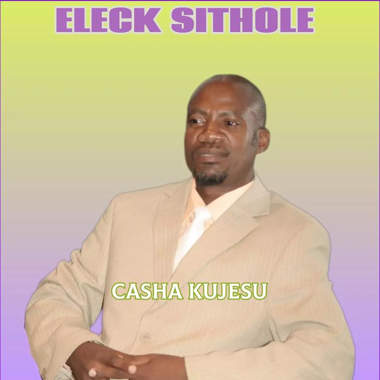 Eleck Sithole's avatar image