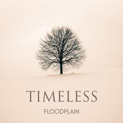 Timeless By Floodplain's cover