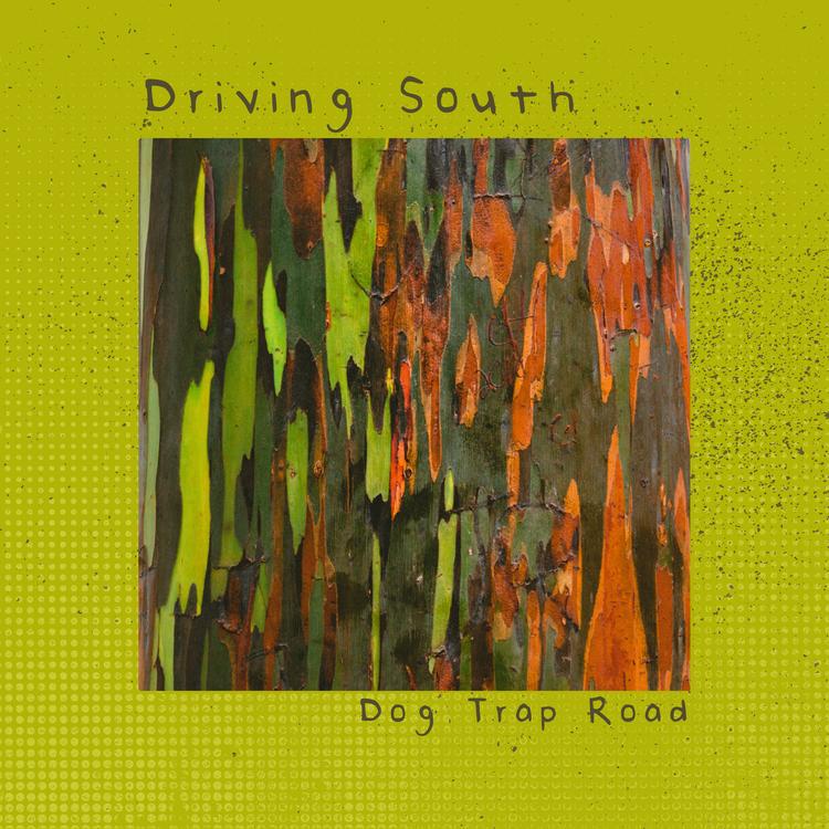 Driving South's avatar image