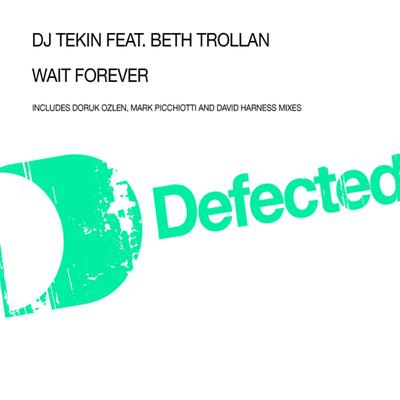 Wait Forever (feat. Beth Trollan) By DJ Tekin, Beth Trollan's cover