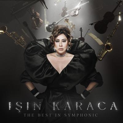 THE BEST IN SYMPHONIC's cover