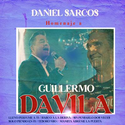 Homenaje a Guillermo Dávila : Llevo Perfume a Ti / Barco a la Deriva / Sin Pensarlo Dos Veces / Solo Pienso en Ti / Tesoro Mio / Mamita, ábreme la puerta (En Vivo)'s cover