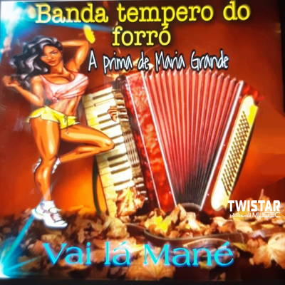 Banda Tempero Do Forró's cover