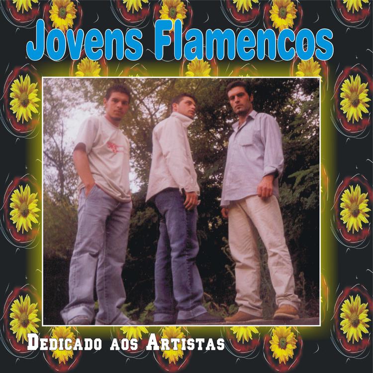 Jovens Flamencos's avatar image