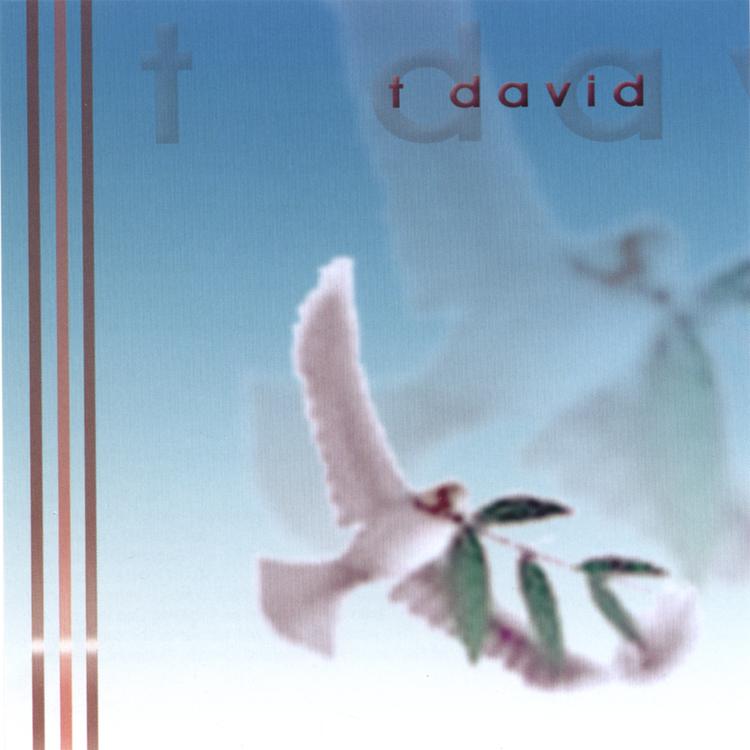 t. david's avatar image