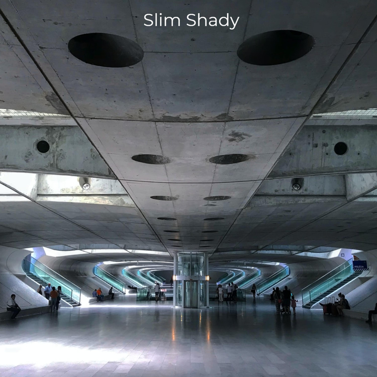 Slim Shady's avatar image