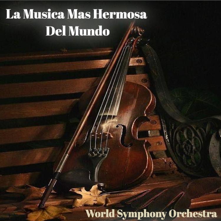 World Symphony Orchestra's avatar image