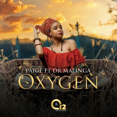 Oxygen (feat. Dr Malinga) By Paige, Dr Malinga's cover