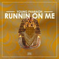 Young Pharaoh's avatar cover