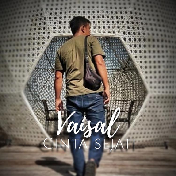 Vaisal's avatar image