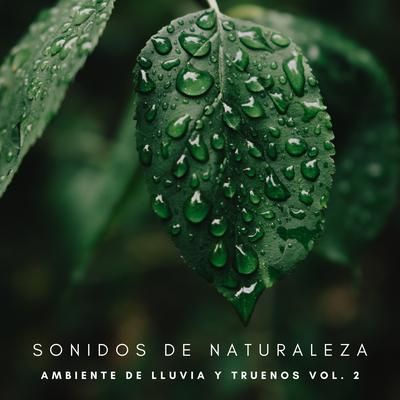 Sonidos De Naturaleza: Ambiente De Lluvia y Truenos Vol. 2's cover