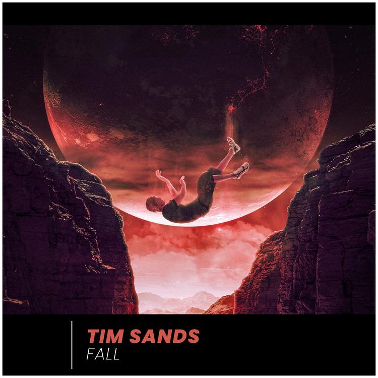 Tim Sands's avatar image