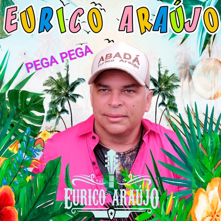 Eurico Araujo's avatar image