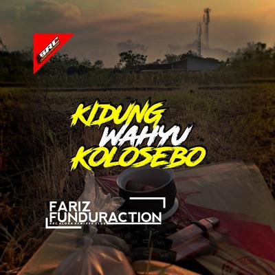 Fariz Funduraction's cover