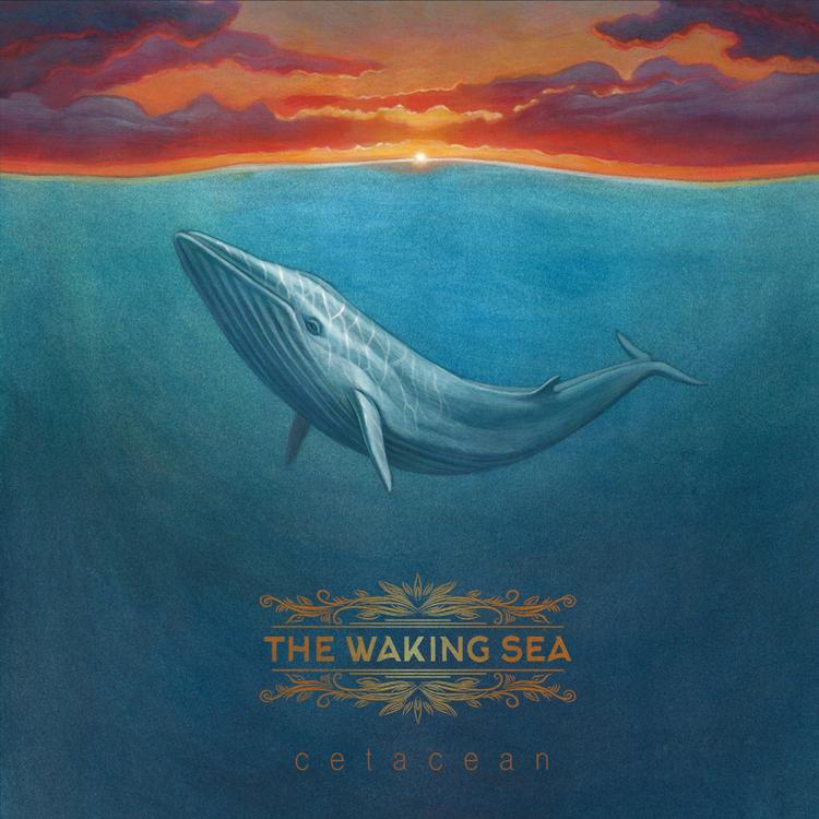 The Waking Sea's avatar image