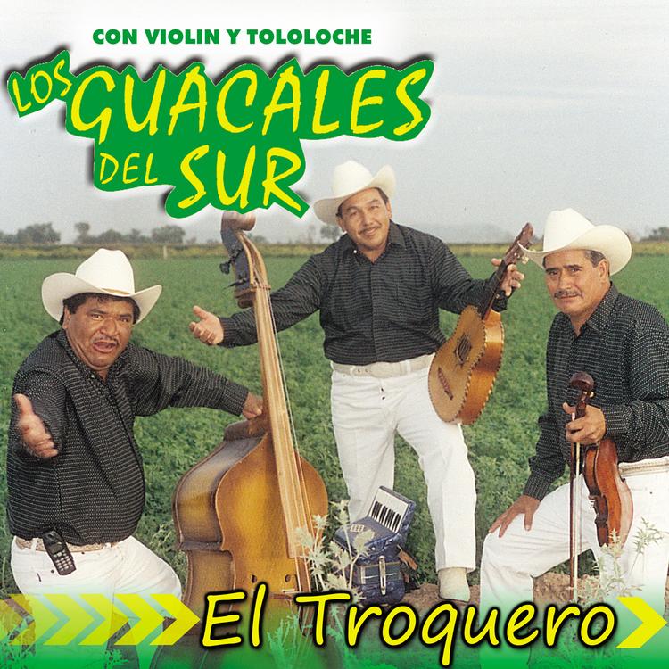 Los Guacales Del Sur Con Violin Y Tololoche's avatar image