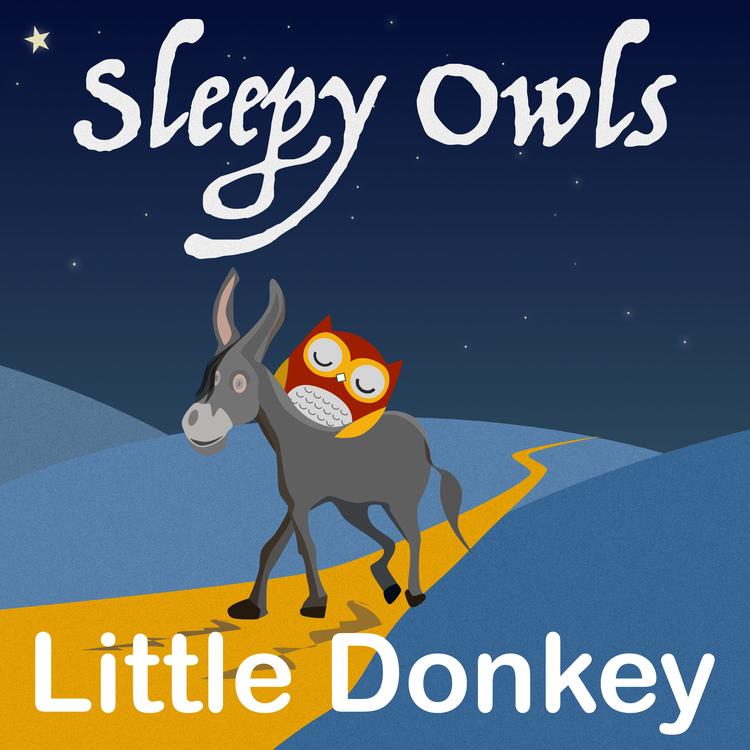 Sleepy Owls's avatar image