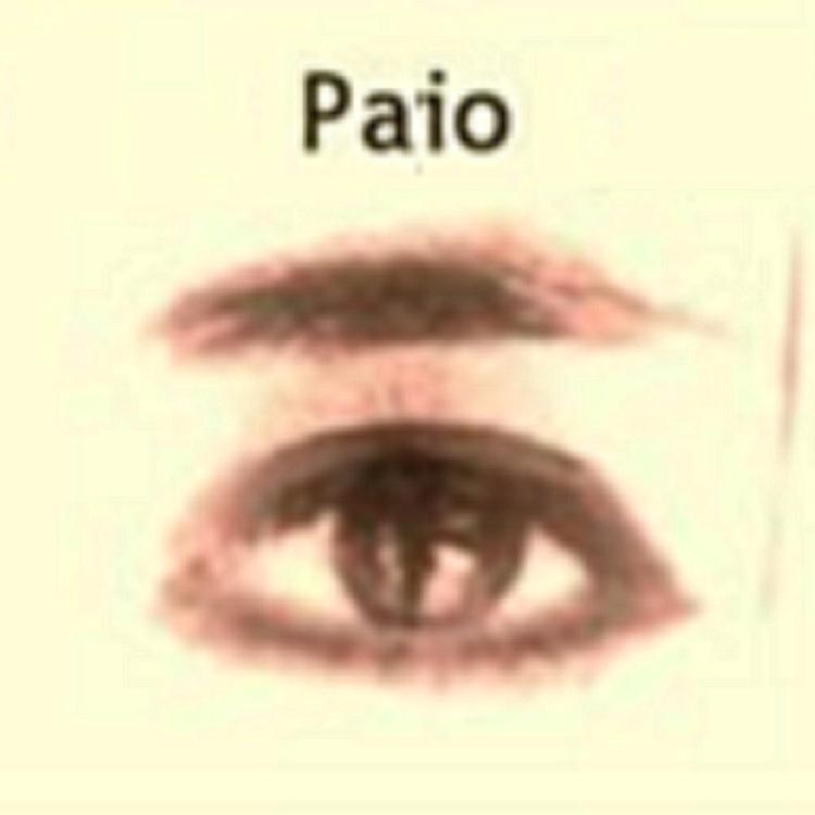 Paio's avatar image