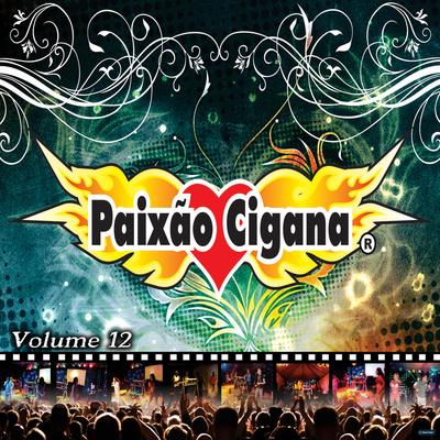 Você Me Balançou By Paixão Cigana's cover