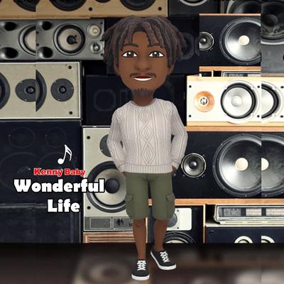 Wonderful Life's cover