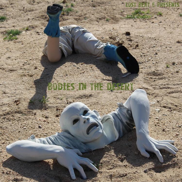 Bodies in the Desert's avatar image