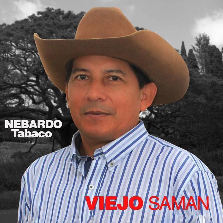 Nebardo Tabaco's avatar image