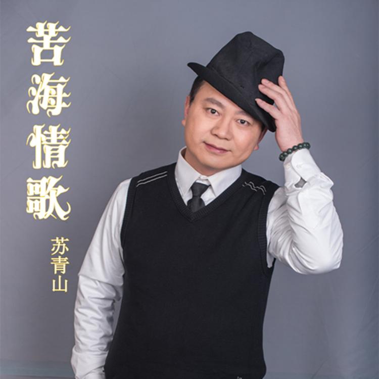 苏青山's avatar image