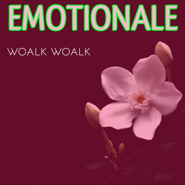 emotionale's avatar image