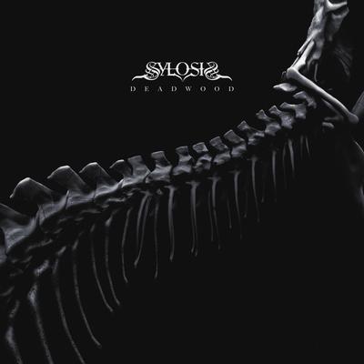 Deadwood By Sylosis's cover