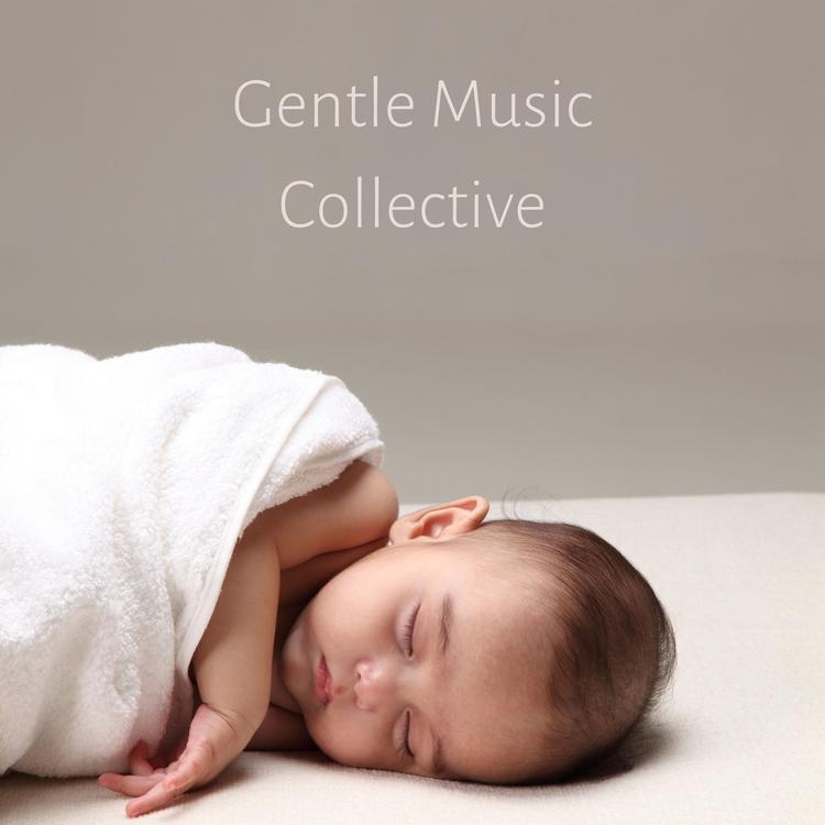 The Gentle Music Collective's avatar image