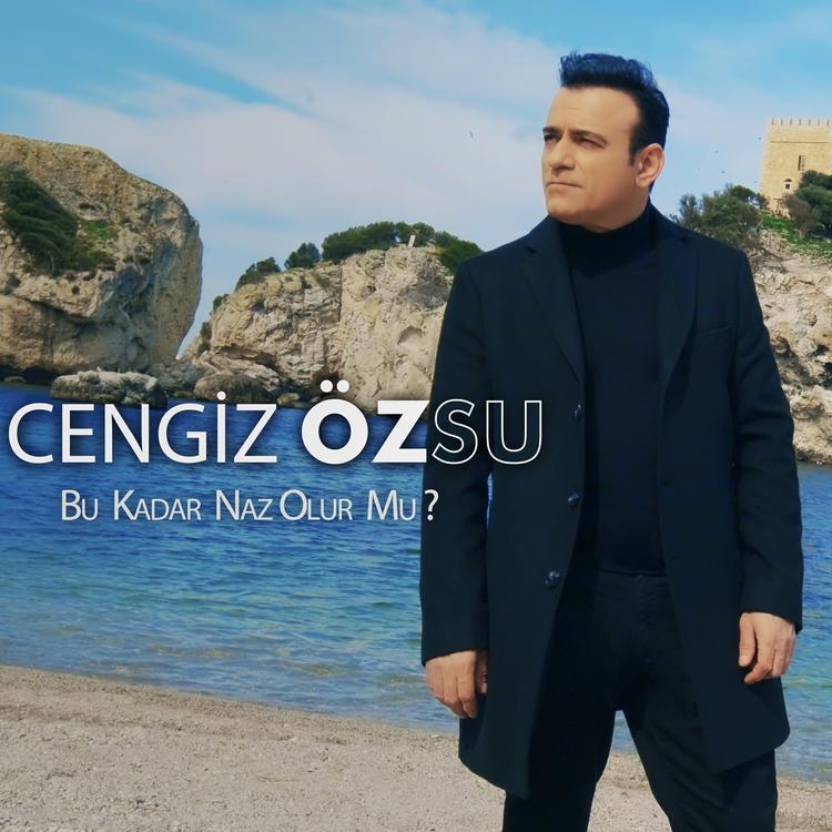 Cengiz Özsu's avatar image