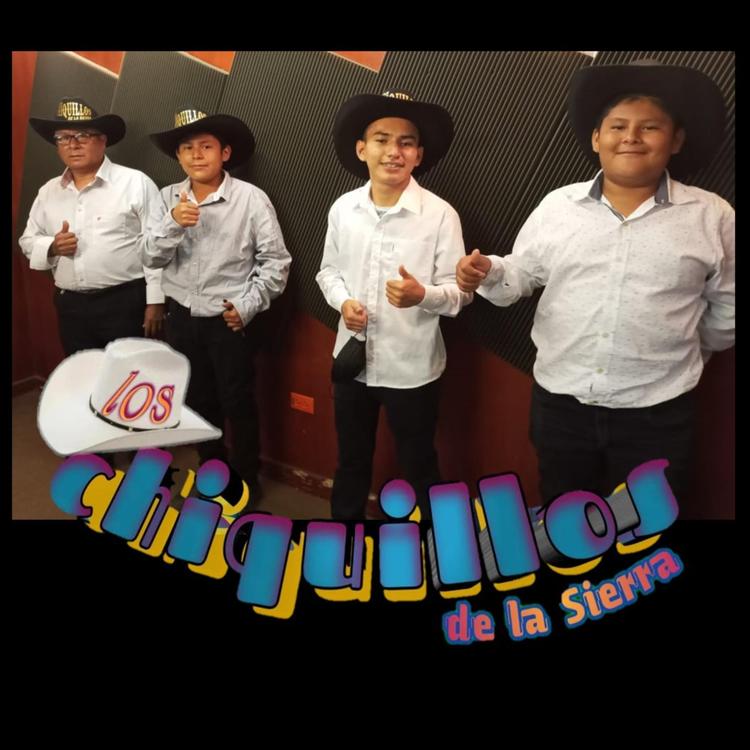 Los Chiquillos de la Sierra's avatar image