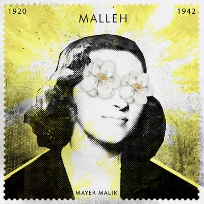 Malleh By Mayer Malik, Boaz van de Beatz's cover