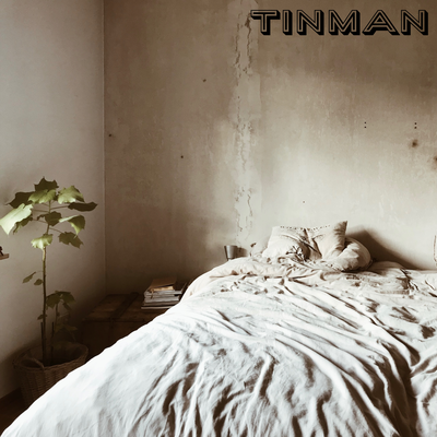 Sunday By Tinman's cover