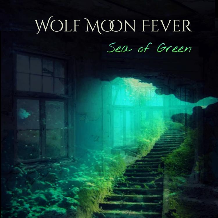 Wolf Moon Fever's avatar image