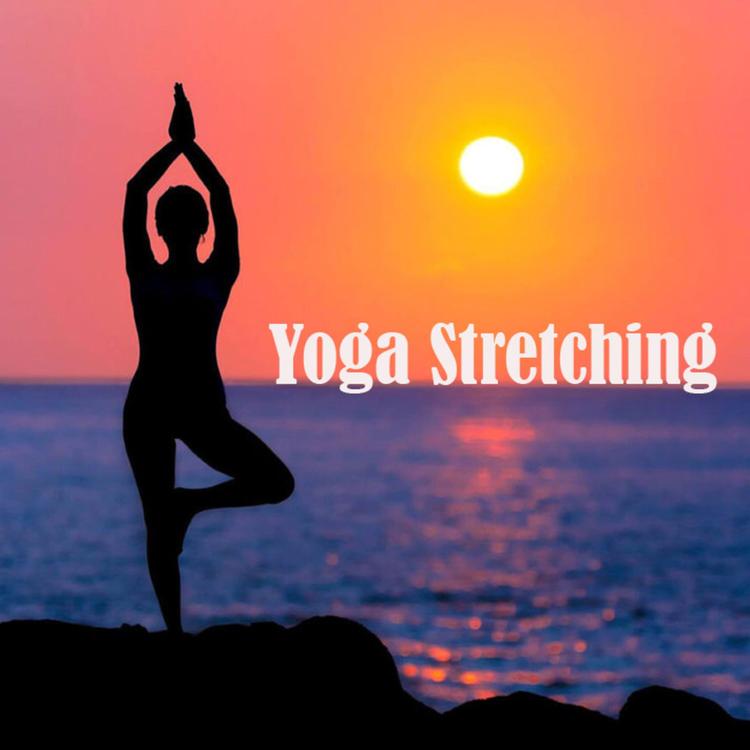Yoga Stretching's avatar image