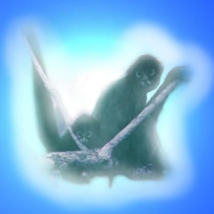 La Muerte De Un Perrito's avatar image