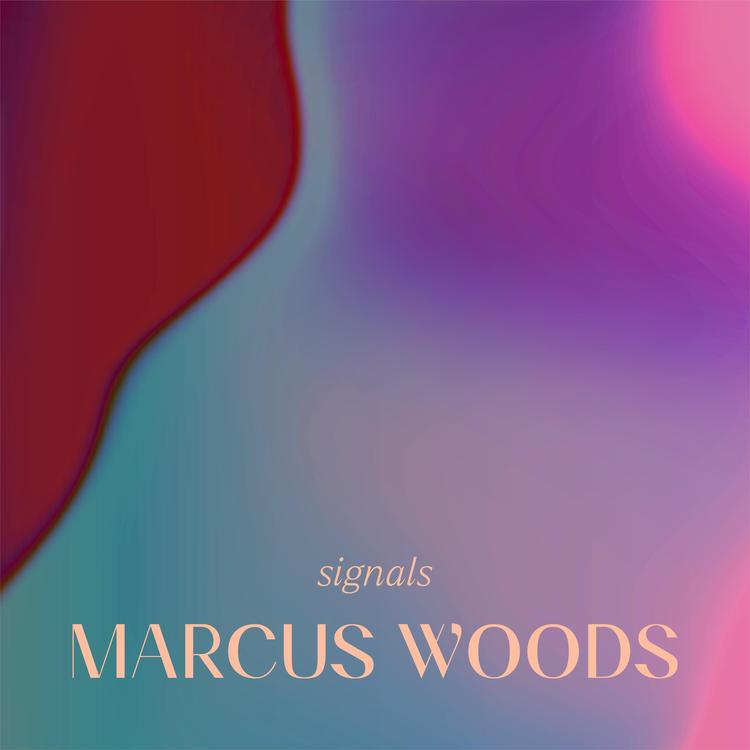 Marcus Woods's avatar image