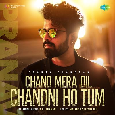 Chand Mera Dil Chandni Ho Tum's cover