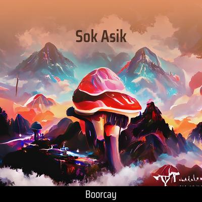 Sok Asik By Boorcay's cover