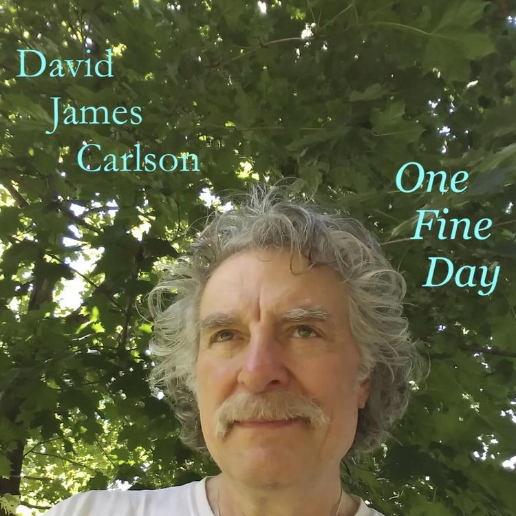 David James Carlson's avatar image