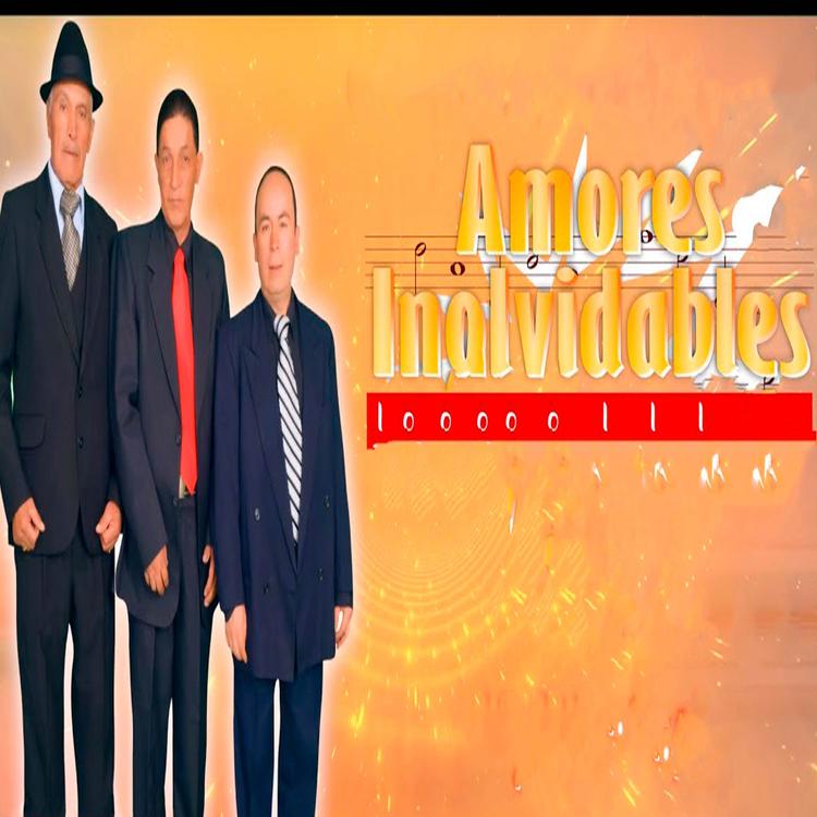 Amores Inolvidables's avatar image