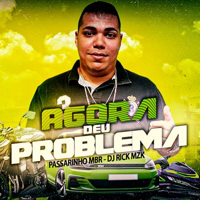 Agora Deu Problema By Passarinho MBR, DJ Rick Mzk's cover