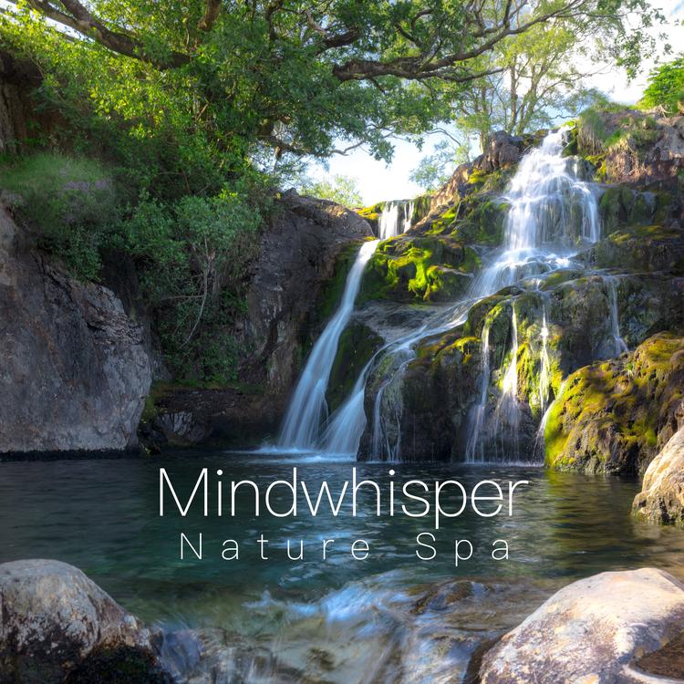 Mindwhisper's avatar image