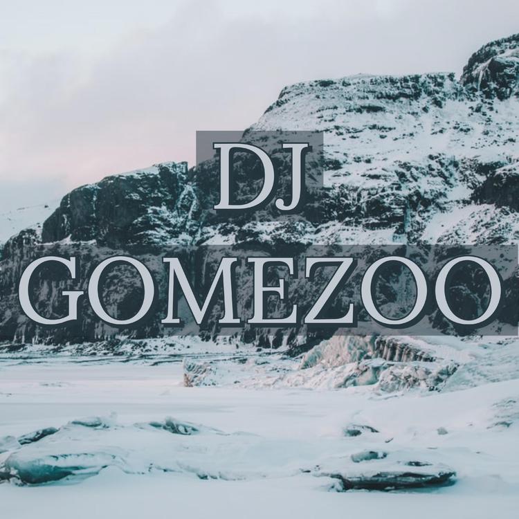 DJ GOMEZOO's avatar image