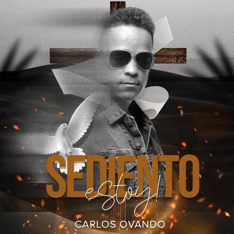 Carlos Ovando's avatar image